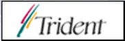 Trident Microsystems, Inc